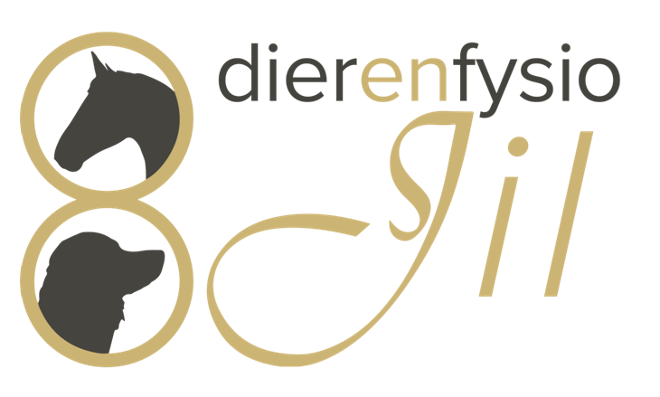 DierenFysioJil logo